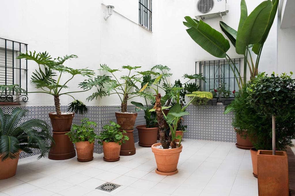 Urbanchicmalaga 3 Bedroom Spacious Quiet Historic Malaga Apt 외부 사진